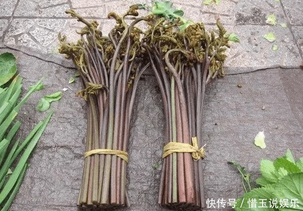 农村6种难得野味,好吃但是难找,全吃过的人不多,你吃过几种
