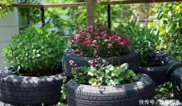 养花捡些“它们”,10年不换盆,土壤不结块,花草呼呼长!