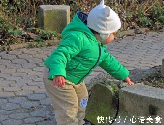 营养|宝宝生长环境都需要什么样的营养?营养又该如何分配?大家要了解