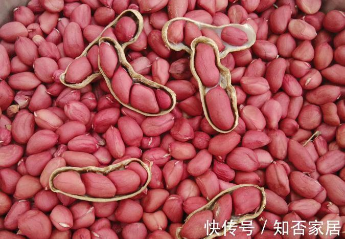 秋天别乱吃,多吃5种食材,顺应时节安稳过秋季,分享菜谱请收好