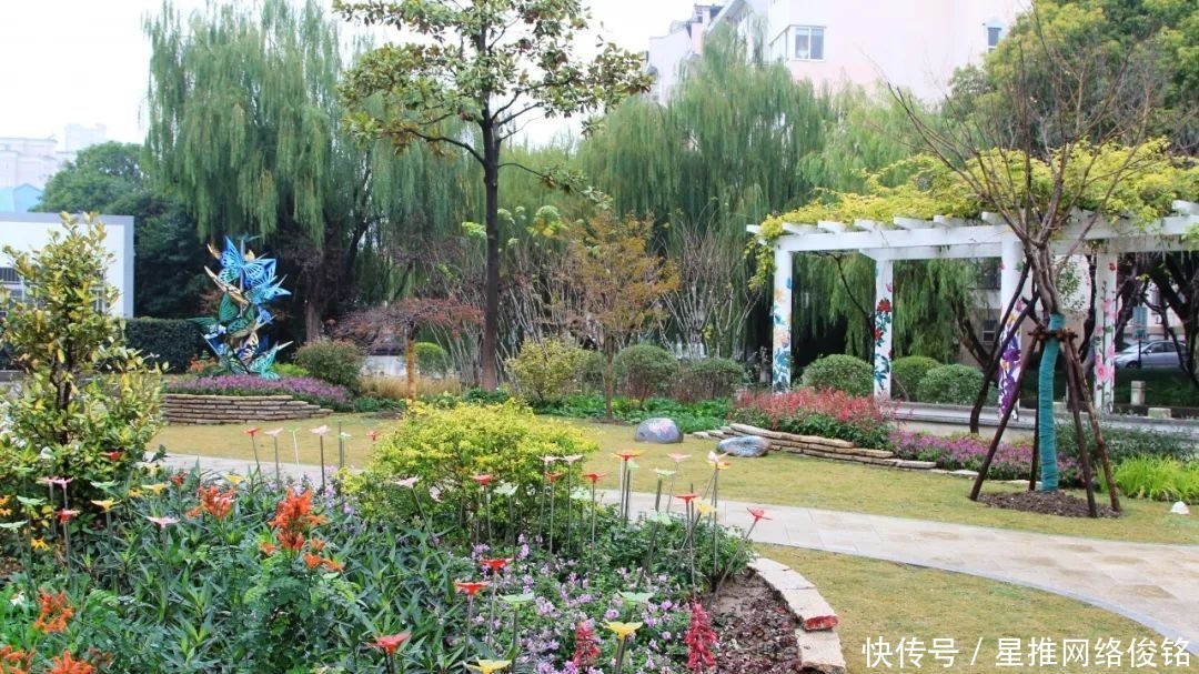 城市|这里新增一处“城市客厅”