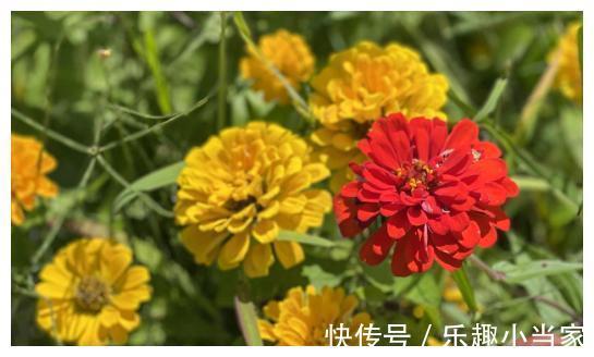 中秋|中秋佳节，跟随着月色游西昌！