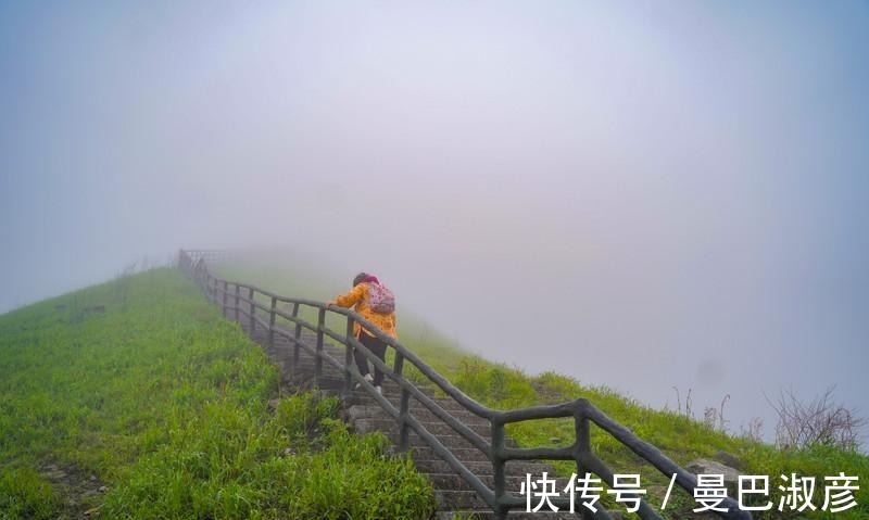 避暑胜地|中国最美的高山草甸，被称为绿色天堂，是著名的避暑胜地