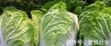 补充|女性想要身体好，常吃3种食物，补充营养，延缓衰老，滋补身体