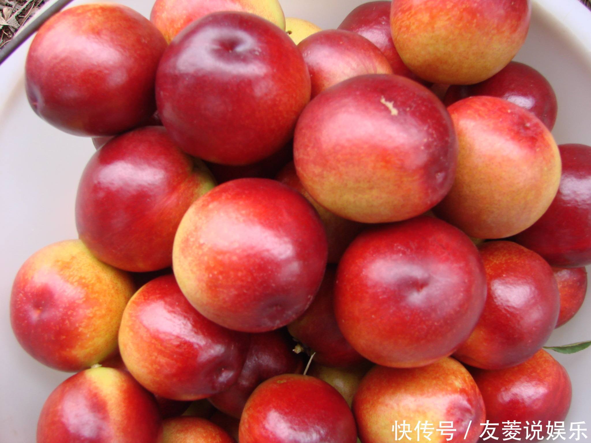 止咳化痰|夏季水果要吃“它”,止咳化痰、补气健肾,是女性理想的水果