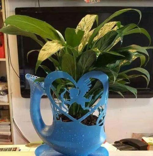 养花|除了花盆之外，这些东西也是绝佳的养花神器，你用过吗？