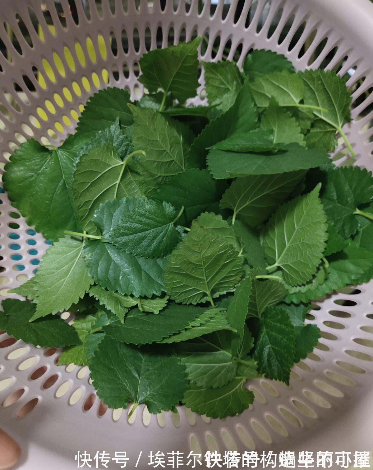 实物|惨!实物美如画,只因名字晦气而不被待见的植物