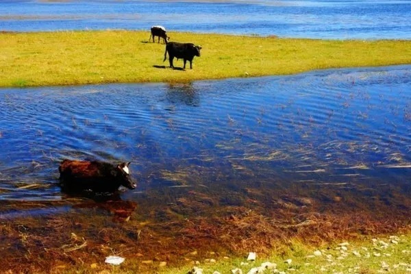 南雄|10个愈秋愈美的小众旅行地，绚丽醉人，错过只能再等一年