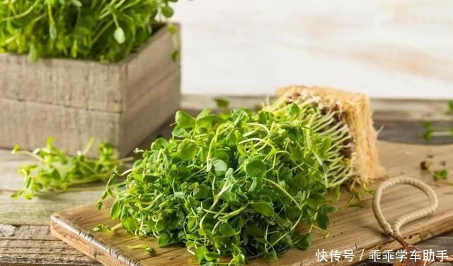 春季“头道鲜”,地道上海宁必吃!春季“头道鲜”,地道上海宁必吃!