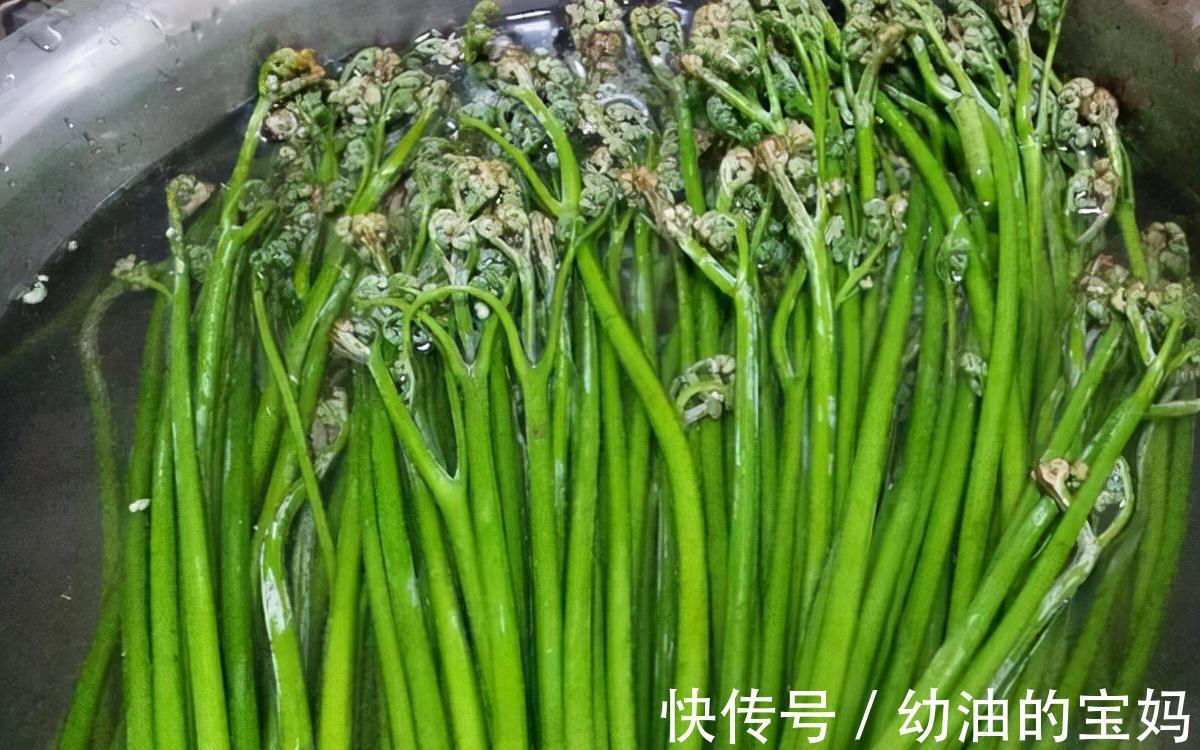 野葱|农村老家常见的15种“不知名”野菜,用对都是宝!你都吃过吗?