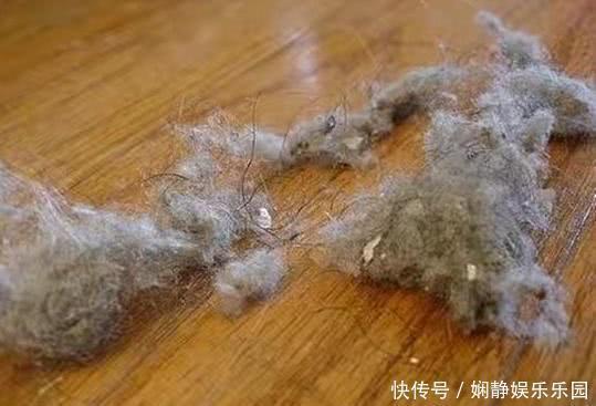 白醋|地面毛絮灰尘多？偷学家政一招，地板锃亮