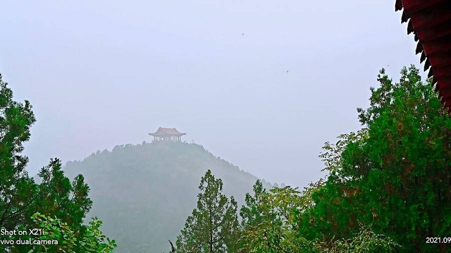 料青山|雨中山里走一走，看风景，洗尽风尘慰余生