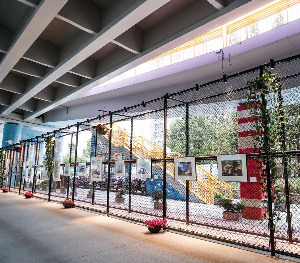 宝山#遛弯也能看展！“一墙美术馆”把艺术送到上海市民身边