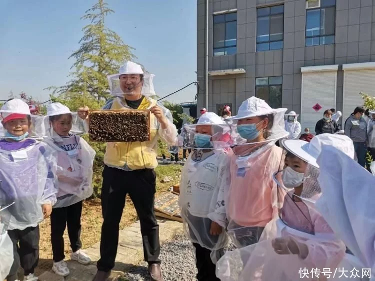 投资280余万元！泰安市首家蜂文化体验馆