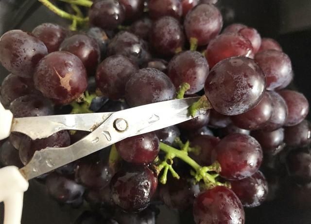 葡萄粒|洗葡萄时，有人加盐有人加碱，都不对！教你正确做法，太干净了