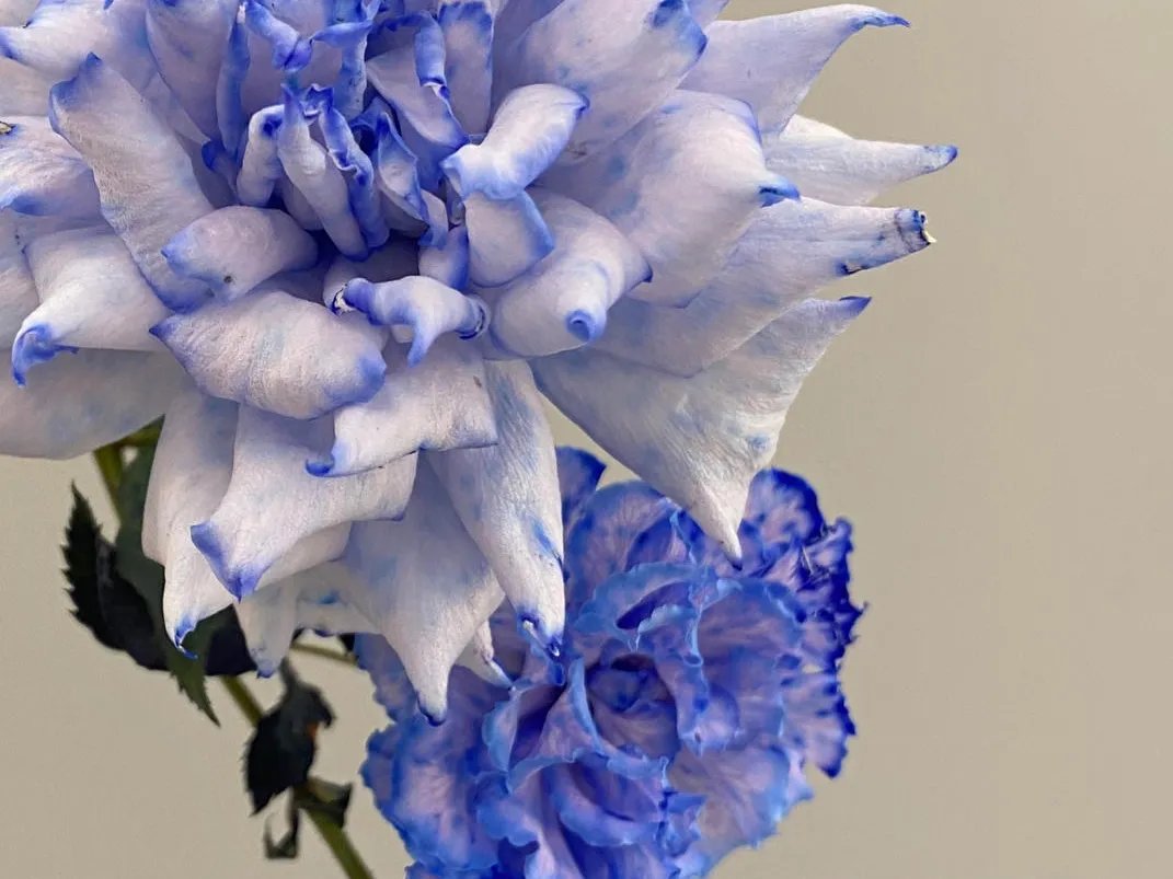 留得心中花香在,人生四时皆风景|诗词 | 终南别业