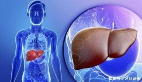 养肝|养肝就是养命,5种食物坚持吃,修复你的肝细胞,让身体健康