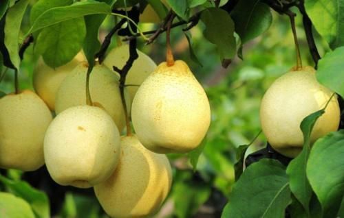 油炸食品|爱积食的孩子是因面条吃多了?给娃消积食,这4种食物尽量少吃