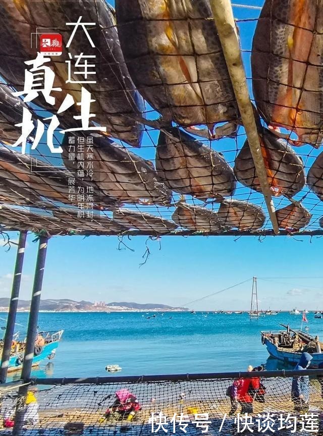 大连|大雪,大连,大生机