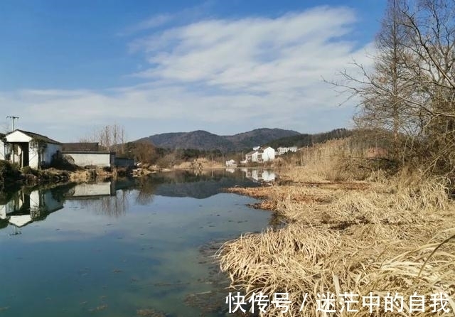 窝子|新钓位聚鱼慢?开发钓位有4个步骤,少一步都会影响上鱼