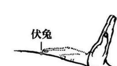 穴位|养心=养命1个养心推手动作+3个护心穴位，经常做心脏越来越好