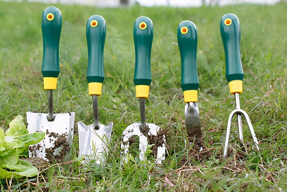 春天养花,必备5种“小东西”,简单有条理,养花一级棒