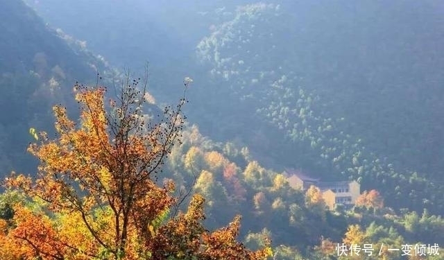 茅镬|有400年历史的古村,藏在四明山深处,浙东第一古树村！