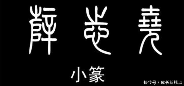 寻找汉字历史的起源，了解大篆和小篆的区别，究竟有什么不一样