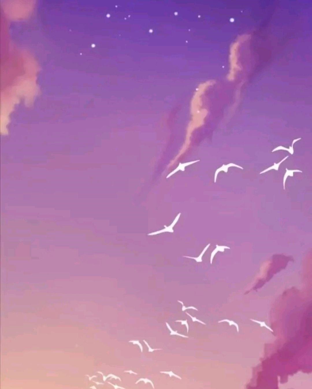 程勉|三本苏格兰折耳猫写的军婚小说推荐,喜欢的小伙伴可以进来啦!