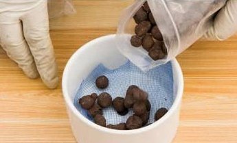 盆里扔2样东西，养花10年不烂根，叶子油光瓦亮，花苞挂满枝头