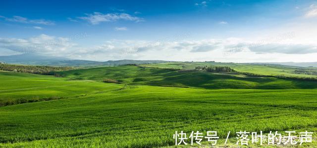 国家重点保护野生植物名录|国家林草局动植物司加强网络野生动植物非法贸易防范