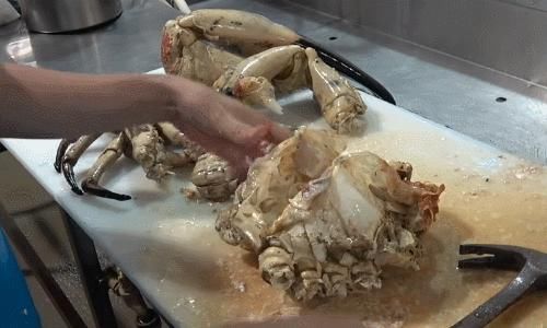 砂锅大的螃蟹，手瓜大的濑尿虾，你们都见过么？