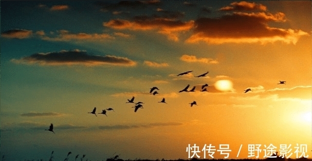 楼市|上海楼市的危与机,回不去的房价,魔都之城上海楼市的潜力