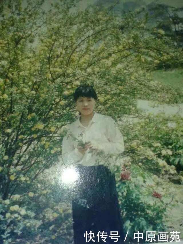 莲鞘|毛毛祥光见拂晓胜芳洁雅出莲鞘