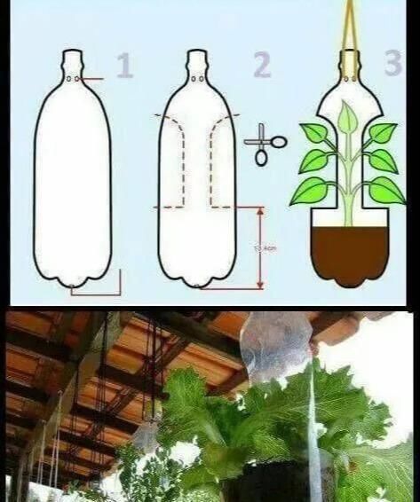 植物|没地种花种菜,没时间浇水几个塑料瓶就能解决,DIY变废为宝