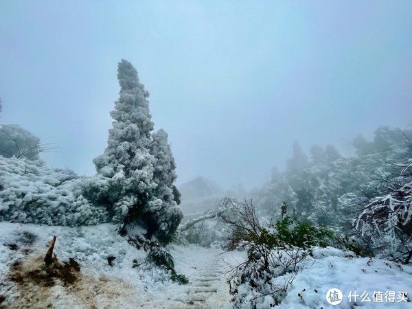 天净|梅岭印象3，天净湖最后一场冬雪，偶遇瀑布云