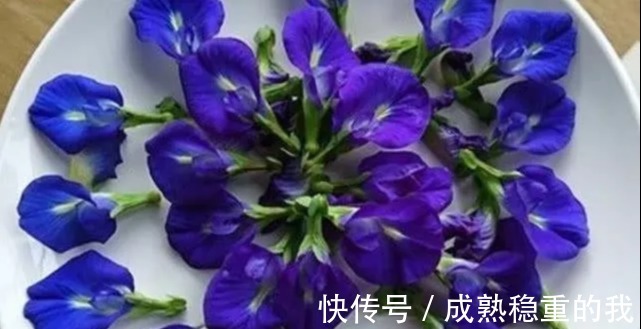 维他命女人不要太节省!常吃4种“零食”,补充雌激素,呵护卵巢抗衰老