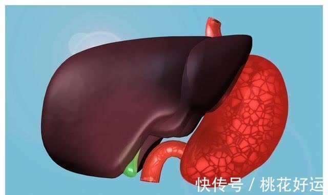 肝细胞|乙肝会发展成肝硬化?医生:想要控制好,记住这六点