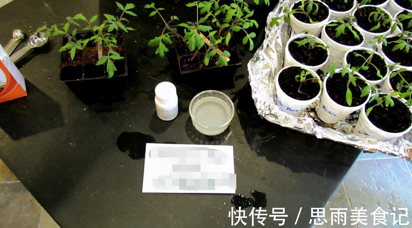 次数|阿司匹林养花诀窍:磨碎、兑水,控制住浓度和使用次数