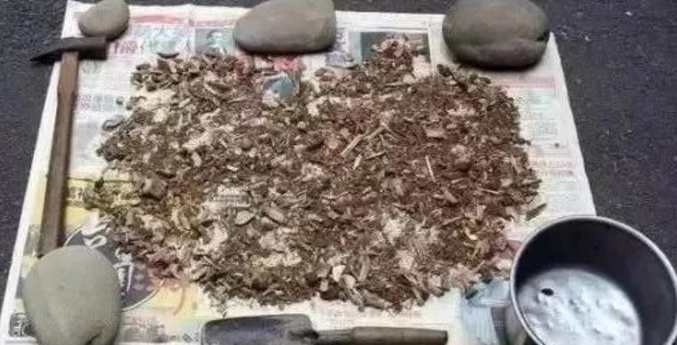 泡沫盒|原来这些垃圾可以用来养花，变废为宝真实用，花花越养长势越旺