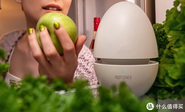 用力过猛|别小瞧这些家居用品，便宜不说，还能美化室内效果，实用又有趣