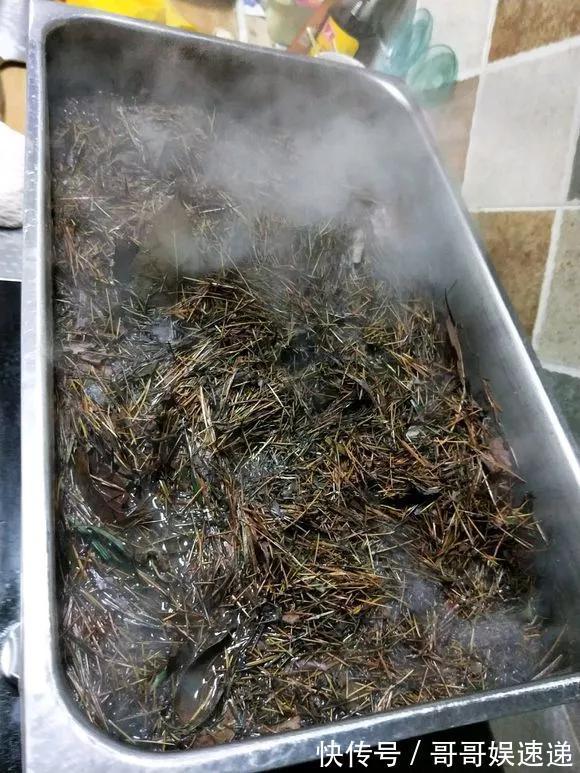 养花最怕烂根,盆底垫点料,盆土透气排水畅快,根粗叶绿开花勤