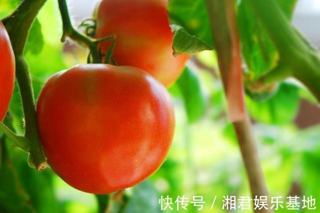 菠菜|孕期最好别吃这6种蔬菜,很有可能影响到宝宝发育,很多人都在吃