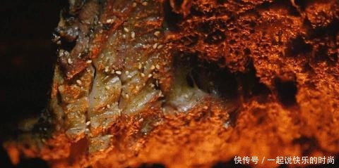 中国宵夜图鉴!(深夜慎点)