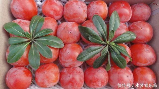 老太|女性最好的零食,不想老太快要多吃,補血活血,保持健康好氣色