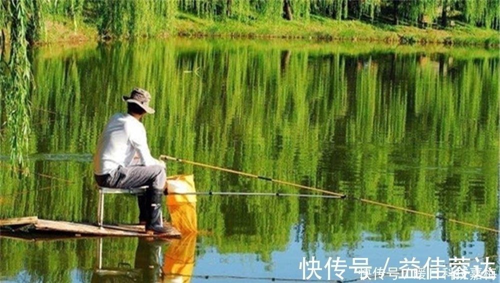 大鱼|钓鱼技巧:鱼不咬钩有6大原因,技术高也没用,不如趁早收杆