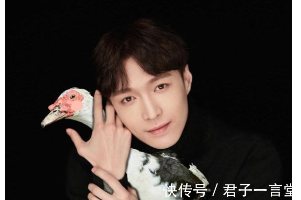 szd|張藝興與彩燈的相愛相殺，粉絲亂嗑cp張燈結彩是真的