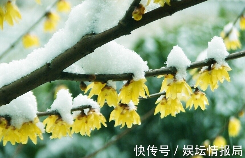 词人$豪放词人刘辰翁,用深婉的文字写下一首《虞美人》,读来让人动容