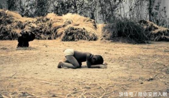 番薯|他冒死从国外偷回一根藤，让中国人口多了3亿，至今被人们纪念