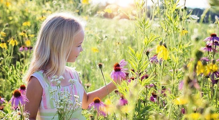 孩子|父母对孩子的爱太浓烈,并不是好事,会让孩子失去学习感恩的机会
